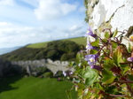 FZ021380 View from Manorbier castle.jpg